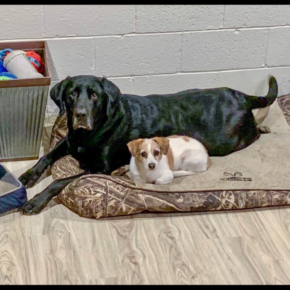 Meet your Posher, Sally - Picture 1 of 1